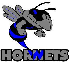 Hornets Logo 